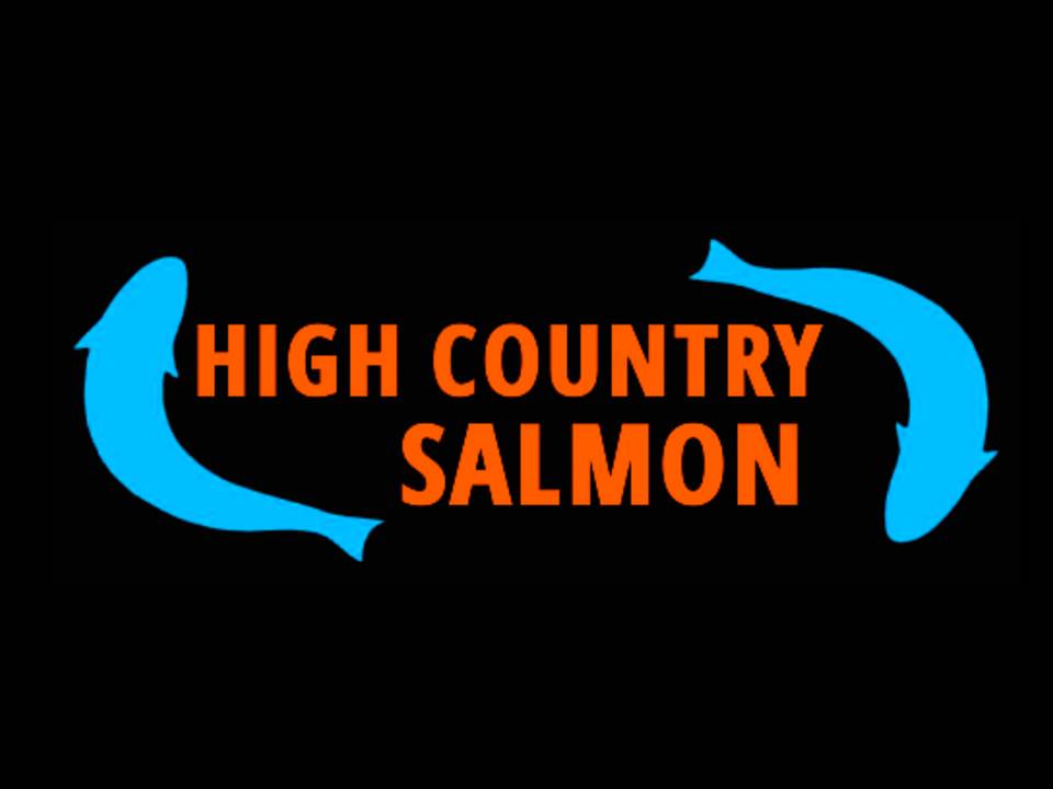high country salmon